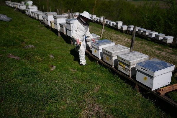 Foto - Kovan sayısı 5’ten 65’e çıktı! Üst düzey yöneticiliği bırakıp İstanbul’u terk etti