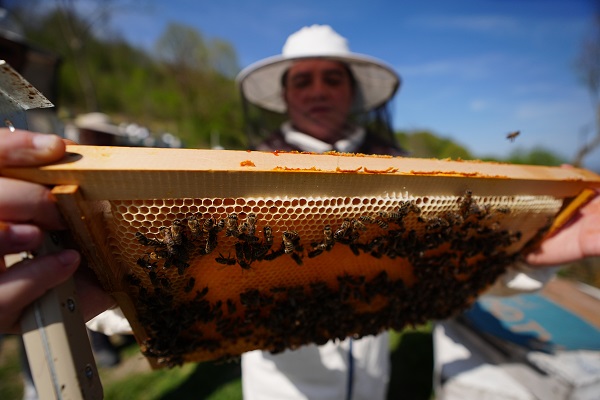 Foto - Kovan sayısı 5’ten 65’e çıktı! Üst düzey yöneticiliği bırakıp İstanbul’u terk etti