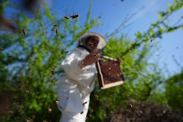 Foto - Kovan sayısı 5’ten 65’e çıktı! Üst düzey yöneticiliği bırakıp İstanbul’u terk etti