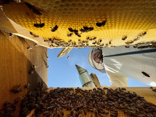 Foto - Kovan sayısı 5’ten 65’e çıktı! Üst düzey yöneticiliği bırakıp İstanbul’u terk etti