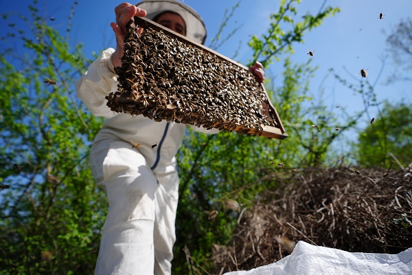 Foto - Kovan sayısı 5’ten 65’e çıktı! Üst düzey yöneticiliği bırakıp İstanbul’u terk etti