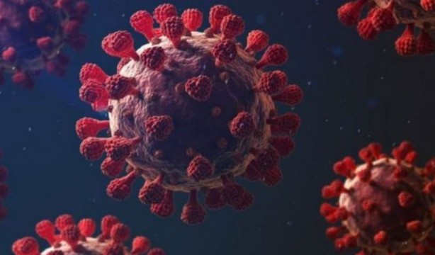 Foto - Kovid-19'un yeni varyantı bir ülkeye daha sıçradı