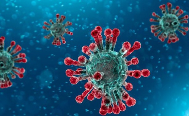 Foto - Kovid-19'un yeni varyantı bir ülkeye daha sıçradı