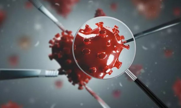 Foto - Kovid-19'un yeni varyantı bir ülkeye daha sıçradı