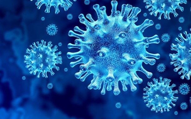 Foto - Kovid-19'un yeni varyantı bir ülkeye daha sıçradı