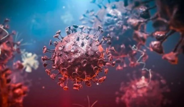 Foto - Kovid-19'un yeni varyantı bir ülkeye daha sıçradı