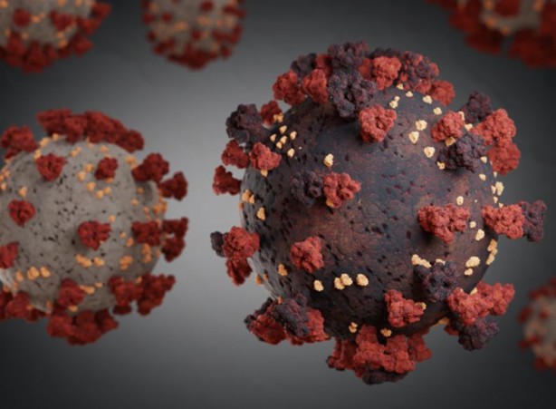 Foto - Kovid-19'un yeni varyantı bir ülkeye daha sıçradı