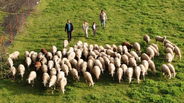 Köy hayatına 2 koyunla başladılar şimdi ise çiftlik sahibi oldular!