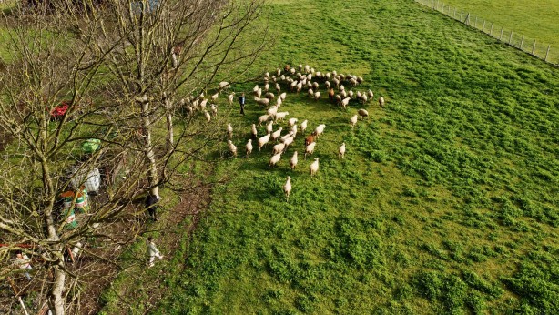 Foto - Köy hayatına 2 koyunla başladılar şimdi ise çiftlik sahibi oldular!