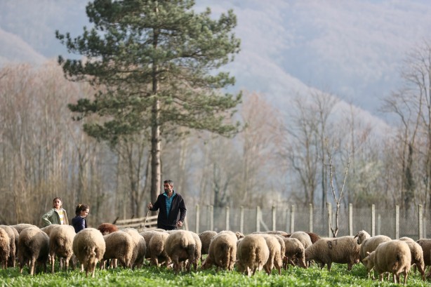 Foto - Köy hayatına 2 koyunla başladılar şimdi ise çiftlik sahibi oldular!