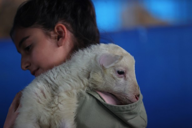 Foto - Köy hayatına 2 koyunla başladılar şimdi ise çiftlik sahibi oldular!