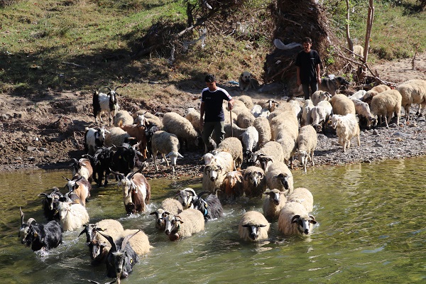 Foto - Köy hayatını tercih etti! Her şeyi elinin tersiyle itti