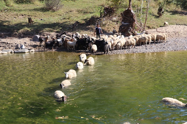 Foto - Köy hayatını tercih etti! Her şeyi elinin tersiyle itti