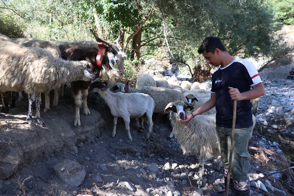 Foto - Köy hayatını tercih etti! Her şeyi elinin tersiyle itti