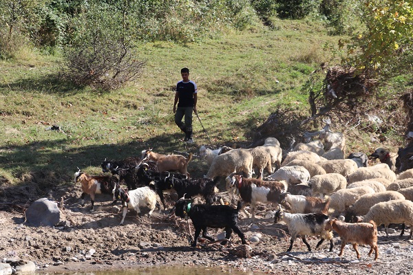 Foto - Köy hayatını tercih etti! Her şeyi elinin tersiyle itti