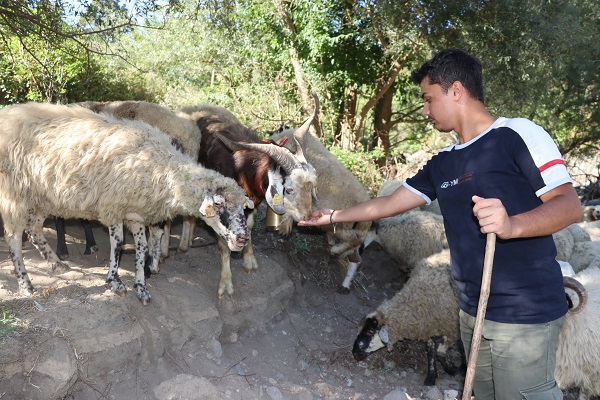 Foto - Köy hayatını tercih etti! Her şeyi elinin tersiyle itti