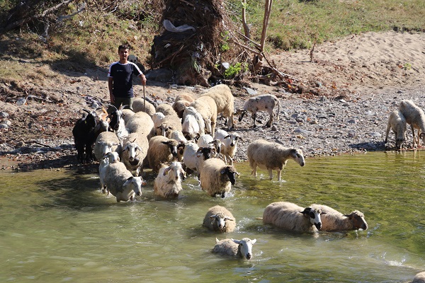 Foto - Köy hayatını tercih etti! Her şeyi elinin tersiyle itti