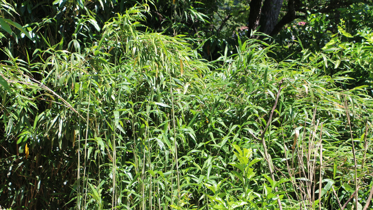 Foto - Köy sakinleri canından bezdi! Bir köy yok olma tehlikesiyle karşı karşıya