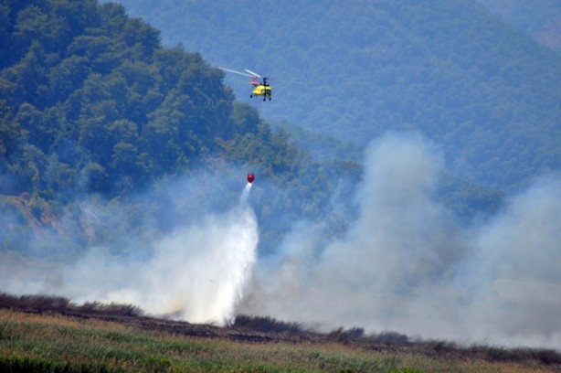 Köyceğiz'de yangın! Havadan müdahale
