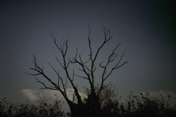 Foto - Köye çöken sisin ardından cinler ortaya çıktı, halk cinnet geçirdi! İşte Türkiye'yi sarsan Karadedeler olayı