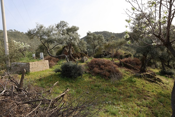 Foto - Köye gelenler ne olduğuna anlam veremiyor! Bu mezarlıkların sırrı ne? 
