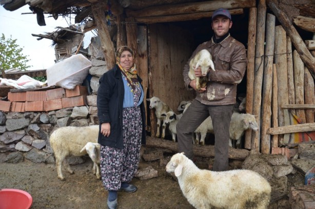 Foto - Köye inen aç kurtlar 24 küçükbaş hayvanı telef etti