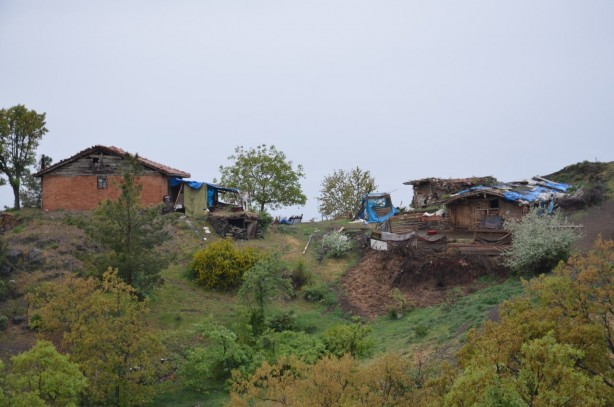 Foto - Köye inen aç kurtlar 24 küçükbaş hayvanı telef etti