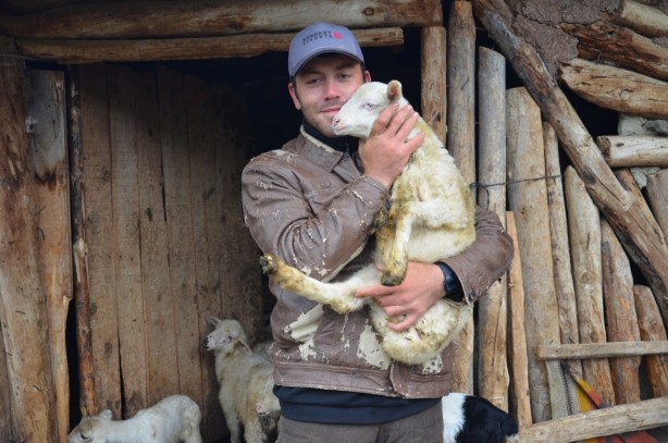 Foto - Köye inen aç kurtlar 24 küçükbaş hayvanı telef etti