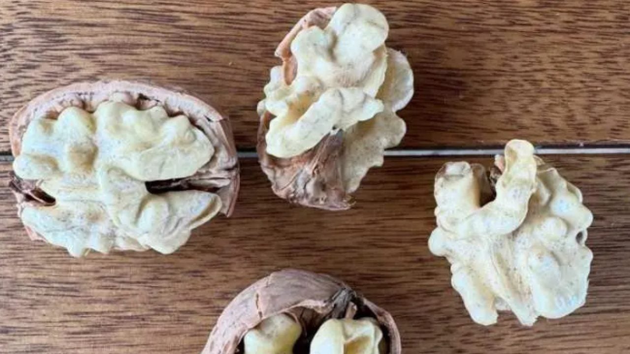 Foto - Burak Hakkı'nın yeni mesleği şaşırttı! Şimdi siparişlere yetişemiyor!