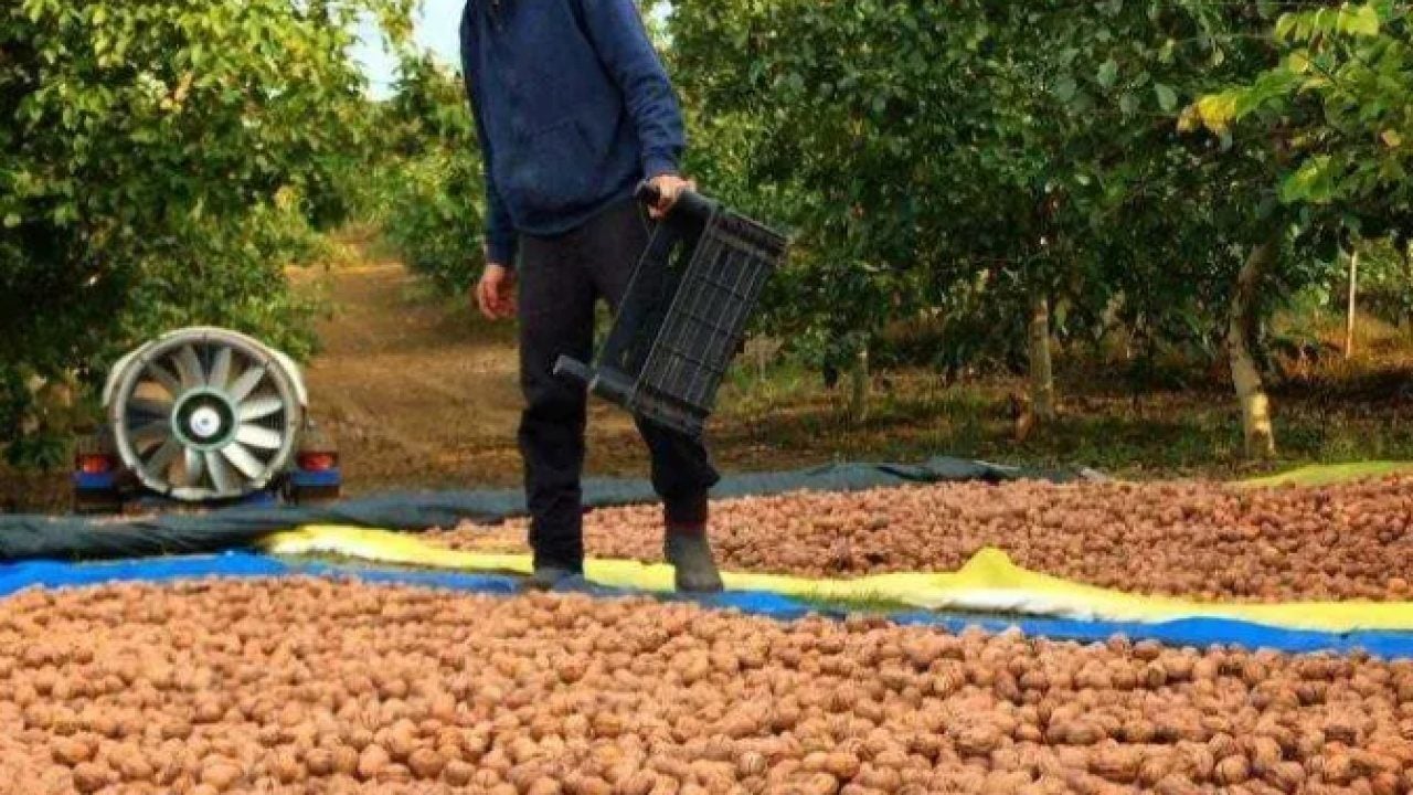 Foto - Burak Hakkı'nın yeni mesleği şaşırttı! Şimdi siparişlere yetişemiyor!
