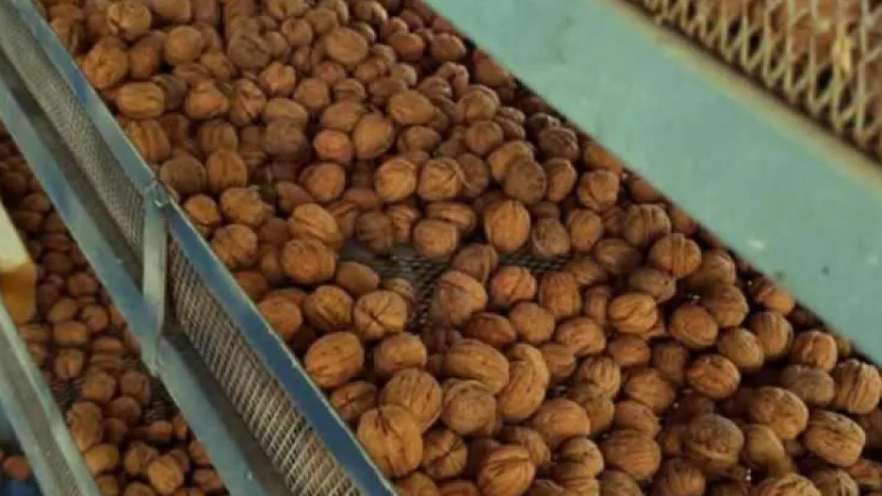 Foto - Burak Hakkı'nın yeni mesleği şaşırttı! Şimdi siparişlere yetişemiyor!