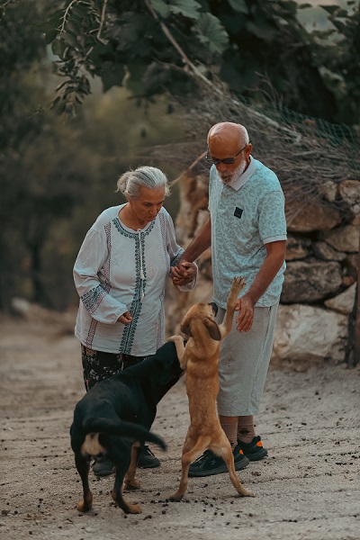 Foto - Köye yerleşip Alzheimer hastası eşine hayatını adadı