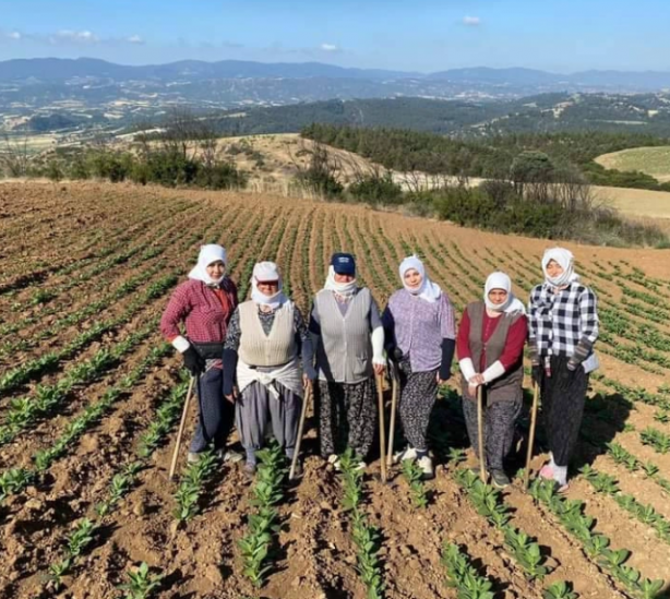 Foto - Köylerde genç kalmadı. Tarlada ve ahırda çalışacak işçi bulunamıyor! Suriyeliler olmasa aç kalacağız