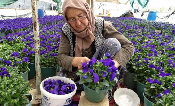 Foto - Köylü kadınların başarısı gıpta ettiriyor! Yılda 6 milyon liralık üretim yapıp yurt dışına ihraç ediyorlar