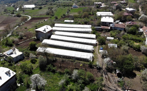 Foto - Köylü kadınların başarısı gıpta ettiriyor! Yılda 6 milyon liralık üretim yapıp yurt dışına ihraç ediyorlar