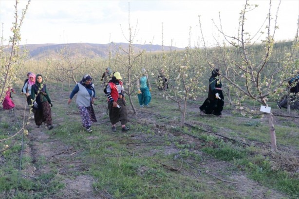 Foto - Köylüler bir araya geldiler ve işsizliği çözdüler