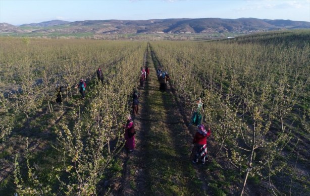 Foto - Köylüler bir araya geldiler ve işsizliği çözdüler