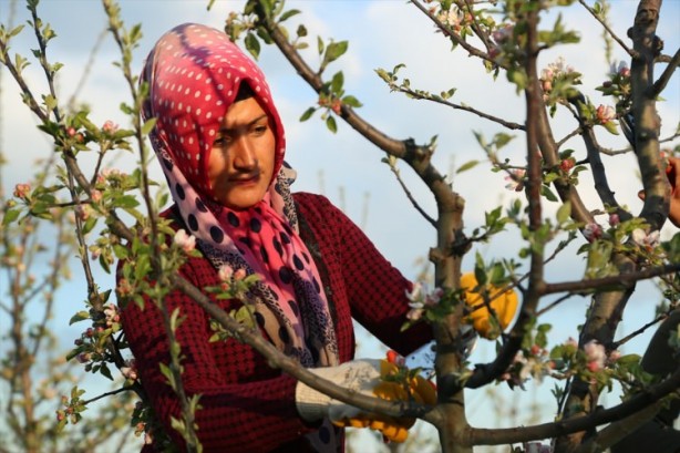 Foto - Köylüler bir araya geldiler ve işsizliği çözdüler
