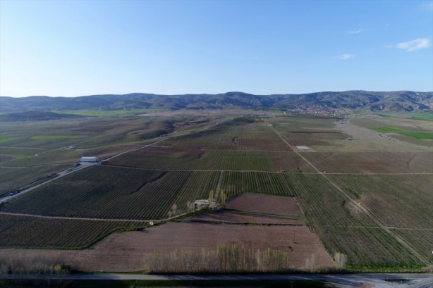 Foto - Köylüler bir araya geldiler ve işsizliği çözdüler