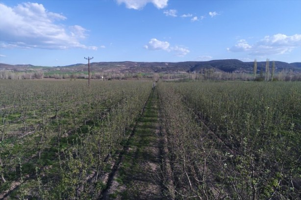 Köylüler bir araya geldiler ve işsizliği çözdüler