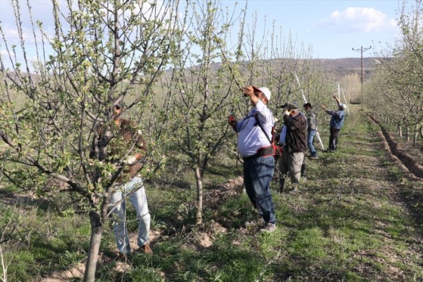 Foto - Köylüler bir araya geldiler ve işsizliği çözdüler