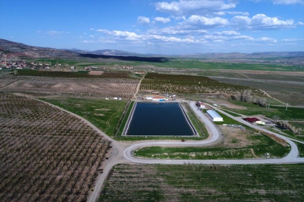 Foto - Köylüler bir araya geldiler ve işsizliği çözdüler