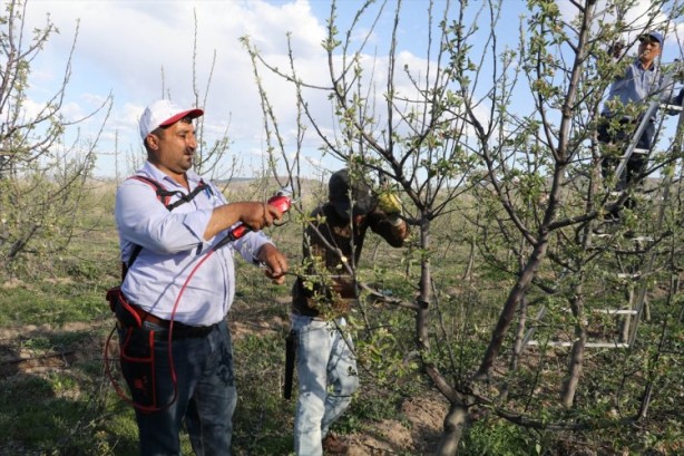 Foto - Köylüler bir araya geldiler ve işsizliği çözdüler