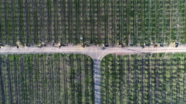 Foto - Köylüler bir araya geldiler ve işsizliği çözdüler