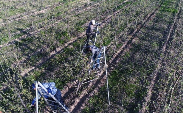 Foto - Köylüler bir araya geldiler ve işsizliği çözdüler