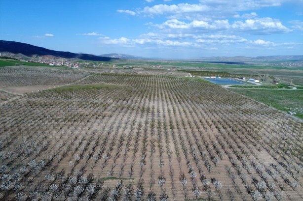 Foto - Köylüler bir araya geldiler ve işsizliği çözdüler