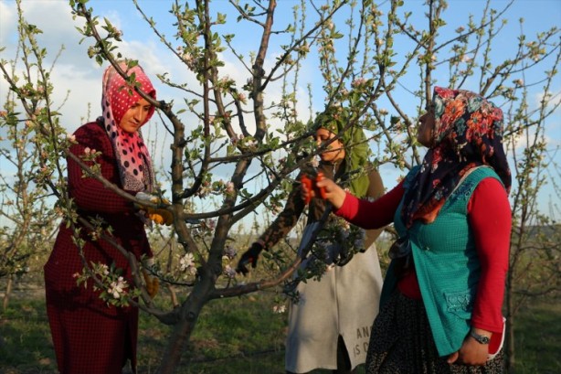 Foto - Köylüler bir araya geldiler ve işsizliği çözdüler