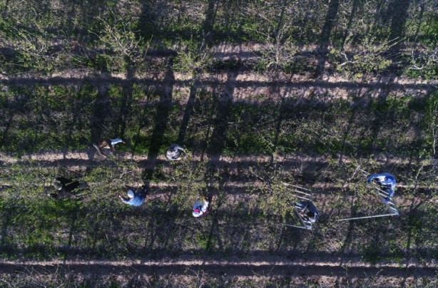Foto - Köylüler bir araya geldiler ve işsizliği çözdüler