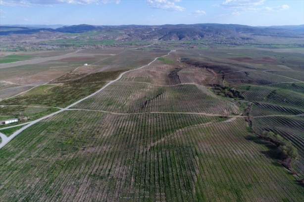 Foto - Köylüler bir araya geldiler ve işsizliği çözdüler