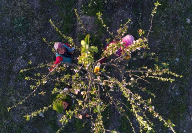 Foto - Köylüler bir araya geldiler ve işsizliği çözdüler